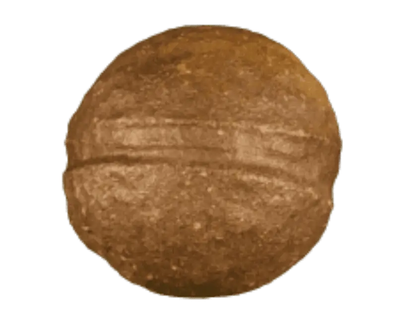 Moqui Marbles - Heilstein