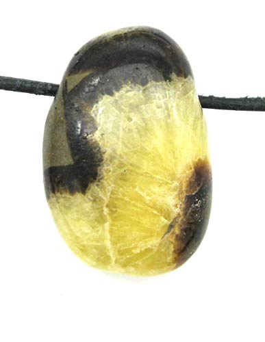 Amaryllis Trommelstein gebohrt Septarie 3 cm