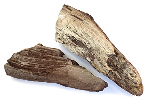 CharpauS Versteinertes (fossiles) Holz - 1 kg - naturbelassene Rohsteine (Glimmer Wood Rock)