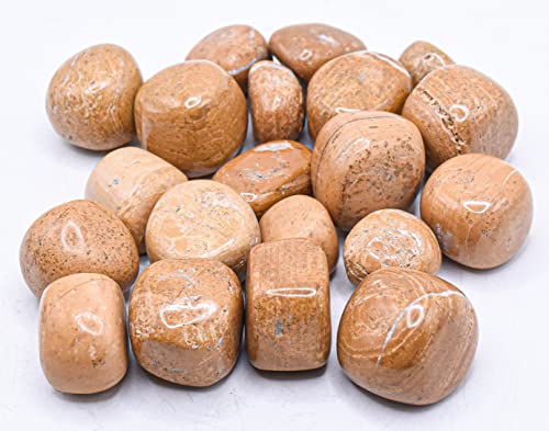 Limonit-Cabochon-Kieselstein, seltener, natürlicher Goethit, polierter Stein, Kabine, Mineralkristall, 5 Stück