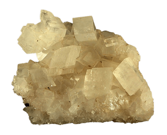 Zitronenchrysopras Wirkung & Bedeutung gegen Erschöpfung