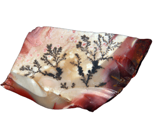 Eine polierte Platte aus Mookait-Stein mit komplexen dendritischen Einschlüssen, die an Äste vor einem mehrfarbigen Hintergrund erinnern.