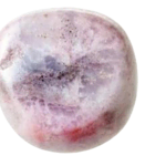 Eine einzelne reife Pflaume mit einer Mischung aus violetten und roten Farbtönen, die an Rhodonit-Edelsteine erinnern, und Anzeichen natürlicher Sprenkelung.