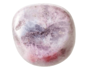 Eine einzelne reife Pflaume mit einer Mischung aus violetten und roten Farbtönen, die an Rhodonit-Edelsteine erinnern, und Anzeichen natürlicher Sprenkelung.