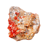 Mineralprobe aus Vanadinit mit glänzenden roten Kristallen, eingebettet in eine raue grau-beige Matrix, isoliert auf weißem Hintergrund.